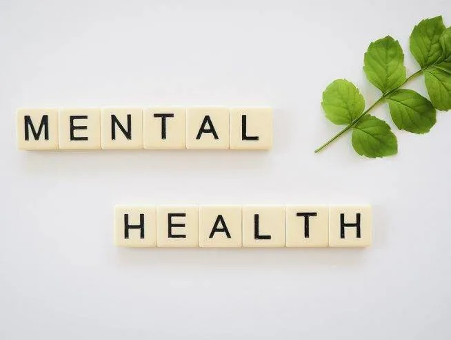 What Are Mental Health First Aid Courses In Australia
